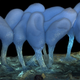 Image for article titled Parasites, deadly bugs and fungi are more beautiful than you could possibly imagine